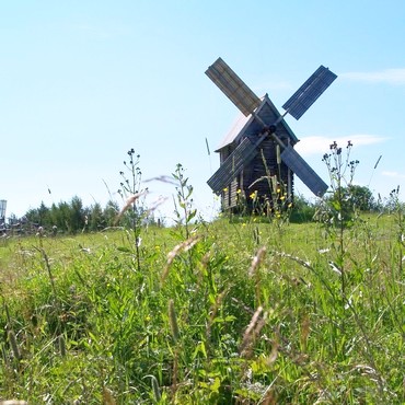 На переднем плане фотографии изображены травы и цветы, на заднем – деревянная ветряная мельница