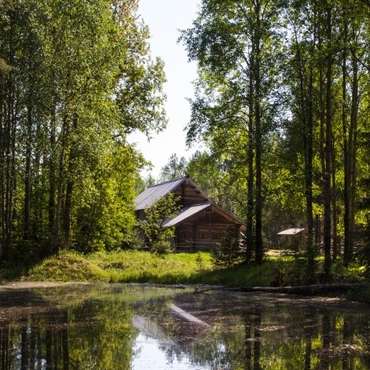 На фотографии летний пейзаж. На переднем плане небольшое озеро, на заднем – деревянный дом, окружённый деревьями. Справа от дома – колодец